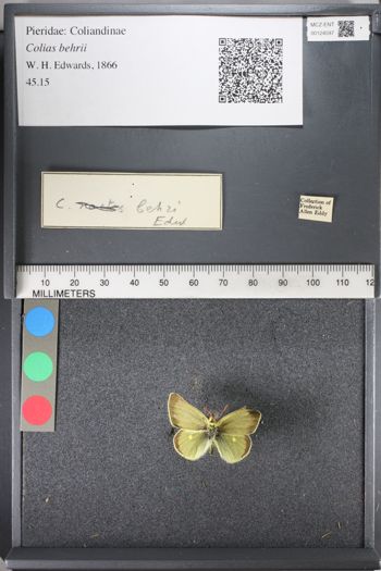 Media type: image;   Entomology 124597